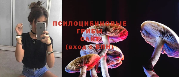 Альфа ПВП Беломорск