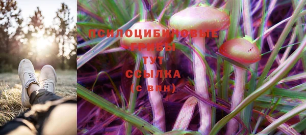 Альфа ПВП Беломорск