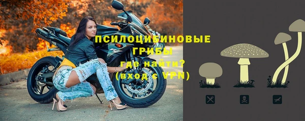 Альфа ПВП Беломорск