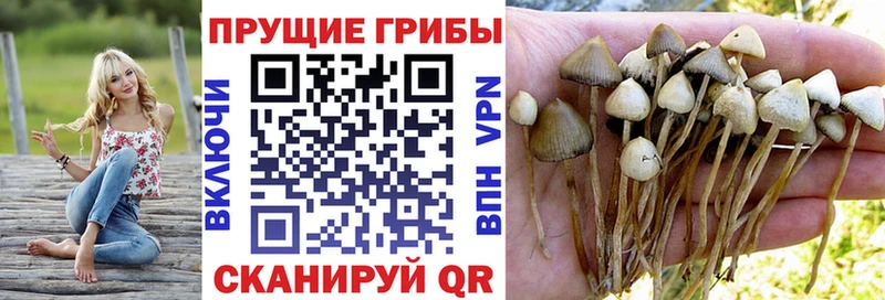 Галлюциногенные грибы Magic Shrooms  hydra маркетплейс  Кумертау 